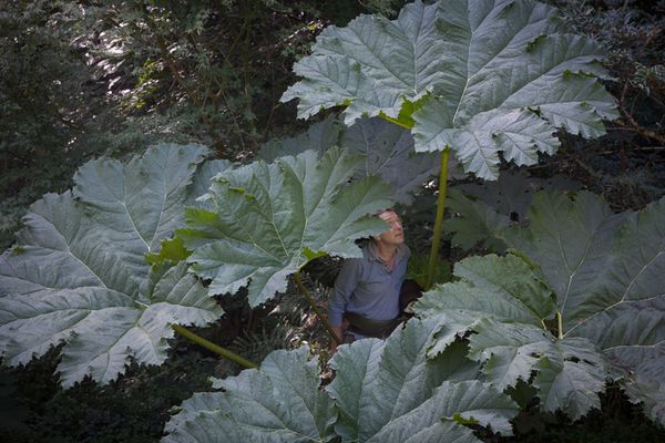 Le Jardin en mouvement